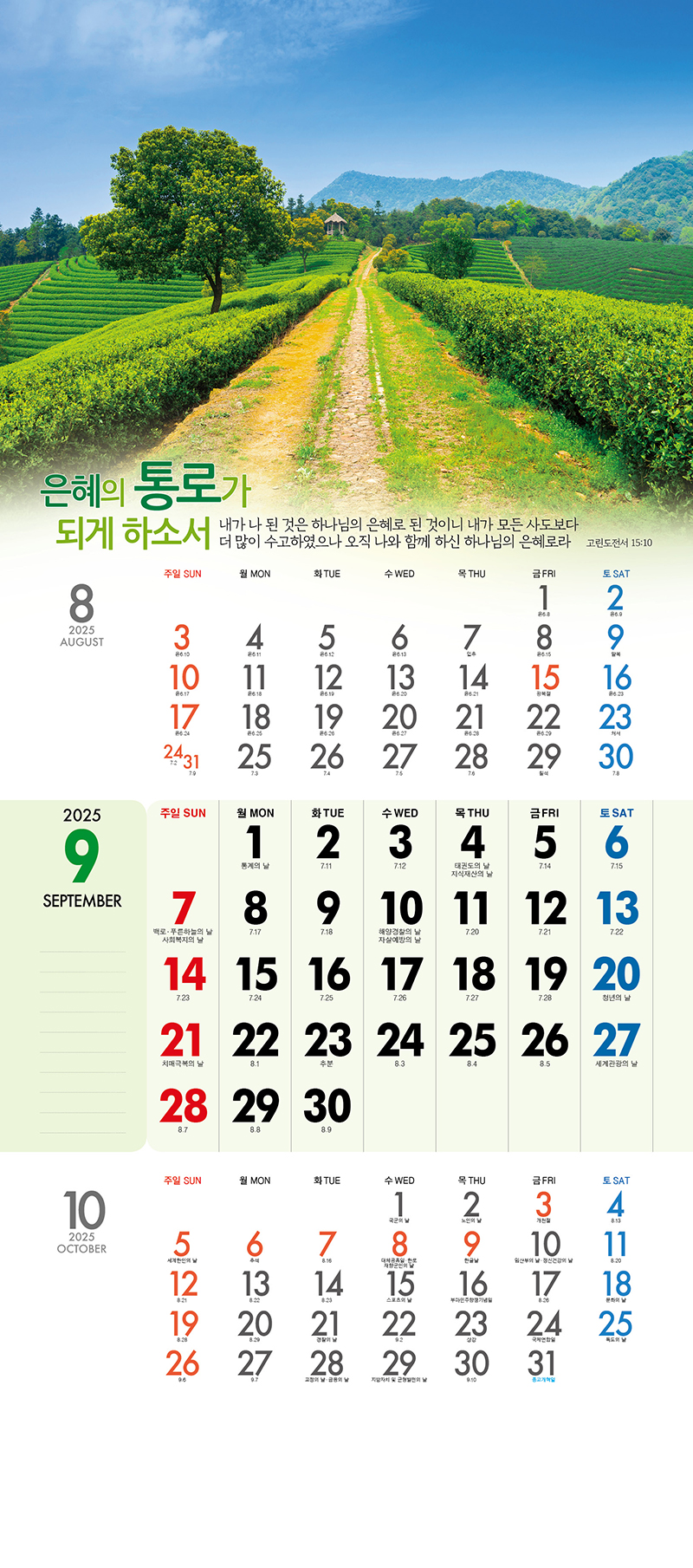 53_-(9).jpg